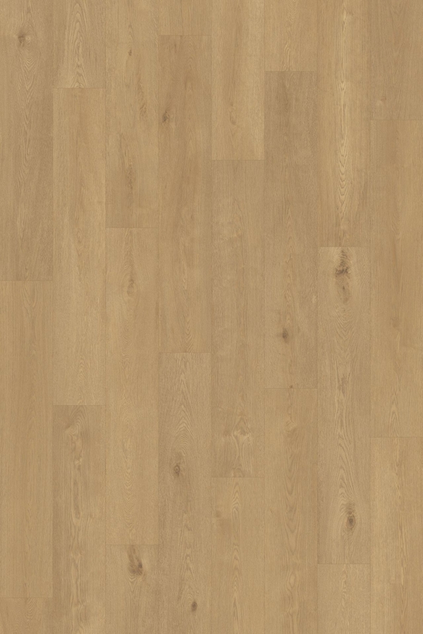 Vinywood 13 Plank / 723 / Hout Lichtbruin - afbeelding 1