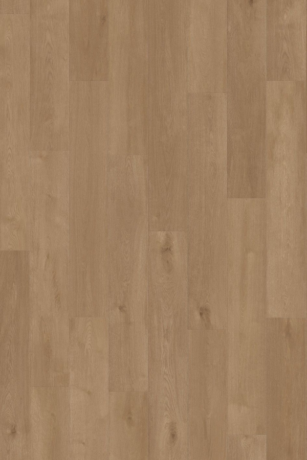 Vinywood 13 Plank / 726 / Hout Bruin - afbeelding 1