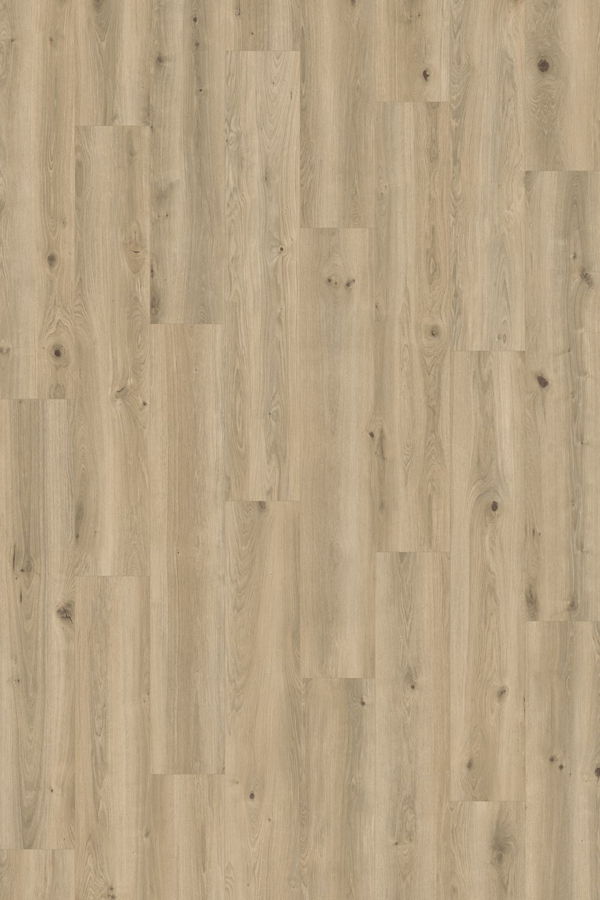 Vinywood 13 Plank / 732 / Hout Lichtbruin - afbeelding 1