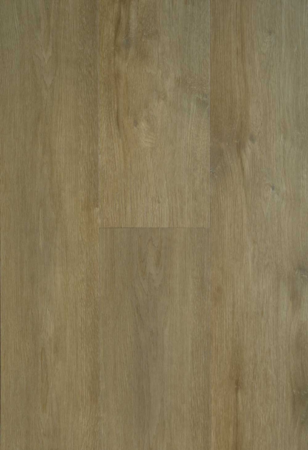 Spotlight Plank / 13 / Hout Lichtbruin - afbeelding 1